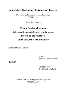 definizione e ciclo del sonno