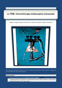 La TEM: microchirurgia endoscopica transanale