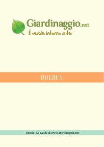 scarica subito il nostro ebook : Bulbi 1