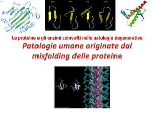 11 Proteine ed enzimi nelle patologie da misfolding