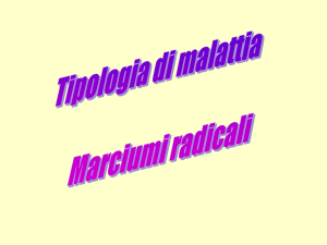 10 marciumi radicali armillaria Archivo