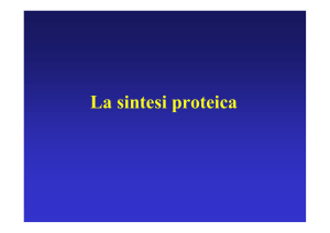 La sintesi proteica