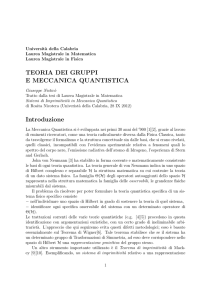 TEORIA DEI GRUPPI E MECCANICA QUANTISTICA Introduzione