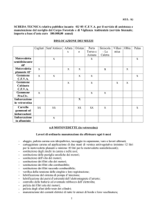 OGGETTO DELLA GARA D`APPALTO PER IL SERVIZIO DI
