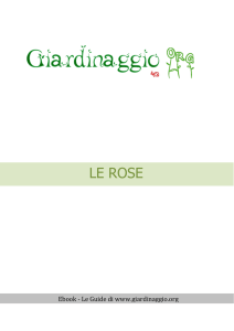 Rose - Giardinaggio.org