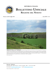 BUR N. 41 DEL 06/05/2016 - Bollettino Ufficiale della Regione Veneto