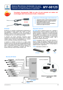 MY-98125 - Tema Telecomunicazioni