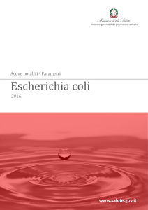 Escherichia coli - Ministero della Salute