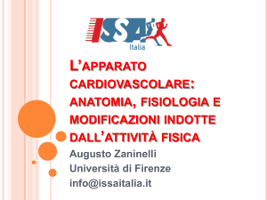 L`APPARATO CARDIOVASCOLARE: ANATOMIA, FISIOLOGIA E