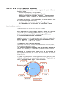 L`occhio e la visione in PDF