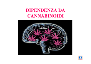 dipendenza cannabis - Studio di Psicoterapia Lecce