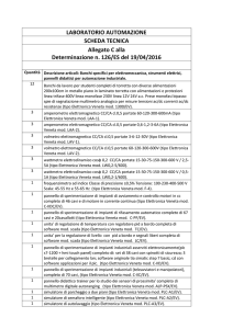 All. C Scheda Tecnica Lab. Automazione