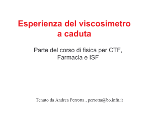 C.T.F. 2004