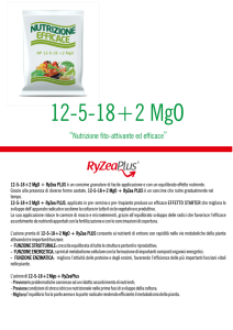 12-5-18 + 2 MgO + RyZea PLUS.cdr