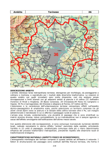 Ambito 36. Torinese - osservatorio del paesaggio dei parchi del po e