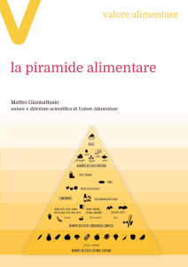 piramide alimentare