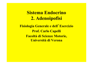 Sistema Endocrino 2. Adenoipofisi