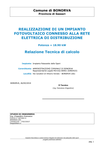 REALIZZAZIONE DI UN IMPIANTO FOTOVOLTAICO