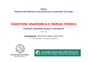 digestione anaerobica e energia termica - master