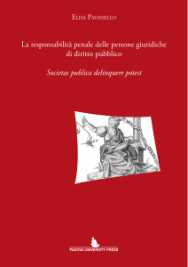 La responsabilità penale delle persone giuridiche di diritto pubblico