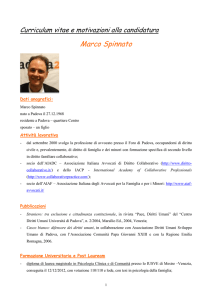 Curriculum vitae marzo 2014 x 2020 def.[1]