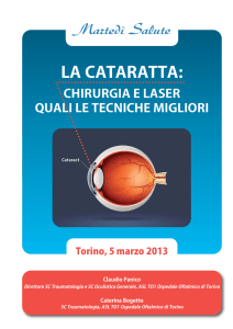 Cataratta5marzo2013B:Layout 1.qxd