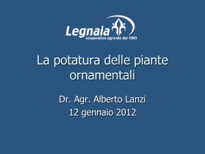 La potatura delle piante ornamentali