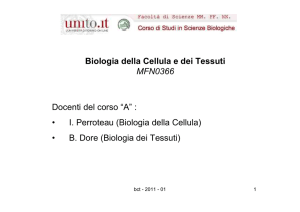 Biologia della Cellula e dei Tessuti - Logo