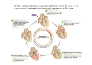 Per Ciclo Cardiaco si intende la successione dell`attività ritmica del