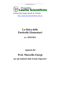 La fisica delle Particelle Elementari Prof. Marcello Giorgi