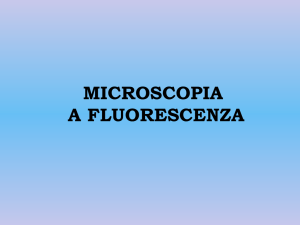MICROSCOPIA A FLUORESCENZA