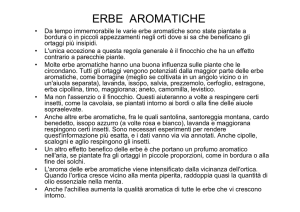 erbe aromatiche - Comune di Trieste