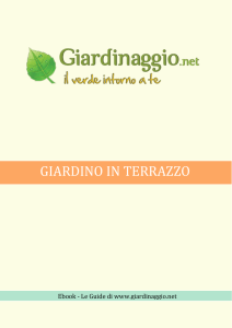 scarica subito il nostro ebook : Giardino in terrazzo