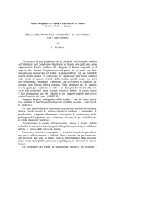 Acta n.5-1959 articolo 6