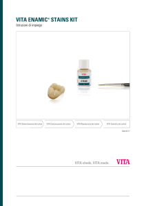 vita enamic® stains kit - VITA MAM 2.0