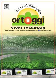 Catalogo 2016 - Ortoggi, vivaio a Forlì con piante da orto e piantine