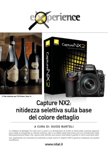 capture NX2: nitidezza selettiva sulla base del colore dettaglio