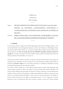 Perizia gruppo 5