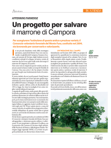 Un progetto per salvare il marrone di Campora