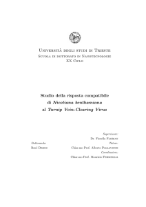 Universit`a degli studi di Trieste Studio della risposta