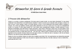 Metamorfosi 30 Giorni di Grande Avvenuta