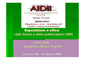 Esposizione a silice I dati italiani e delle pubblicazioni