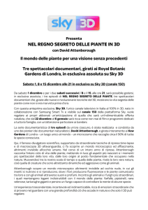 nel regno segreto delle piante in 3d