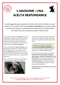 l`adozione : una scelta responsabile