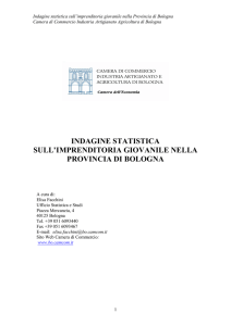 indagine statistica sull`imprenditoria giovanile nella provincia di