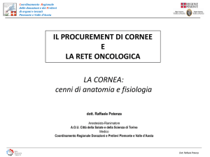 La cornea - anatomia e fisiologia - Potenza