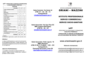 brochure 2014 iiss oriani-mazzini