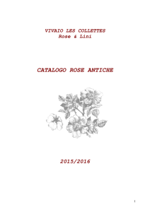 CATALOGO ROSE ANTICHE - Vivaio Les Collettes