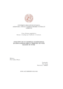 sviluppo di un modello matematico di simulazione della crescita di