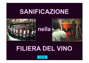 Sanificazione nella filiera del vino